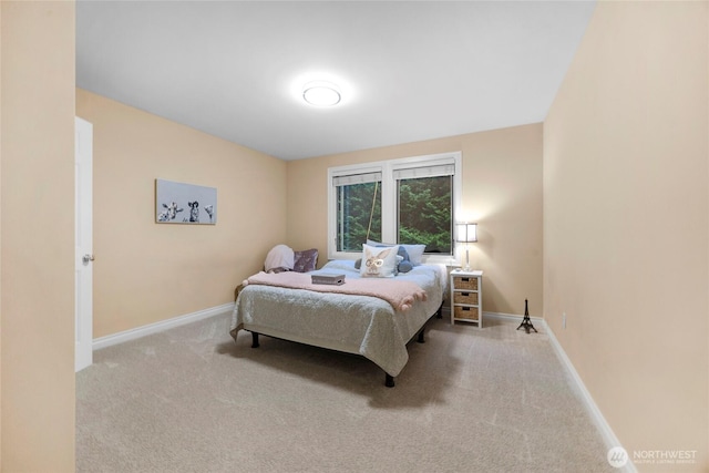 13423 54th St SE, Snohomish, WA 98290 - photo 26