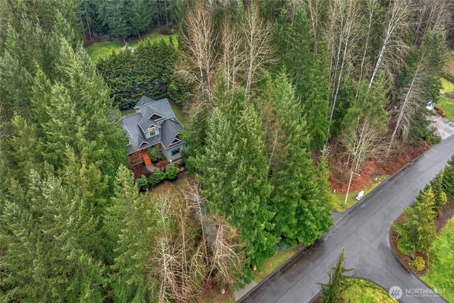 13423 54th St SE, Snohomish, WA 98290 - photo 38