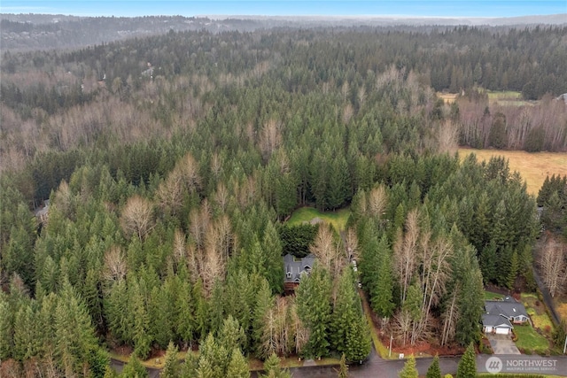 13423 54th St SE, Snohomish, WA 98290 - photo 39