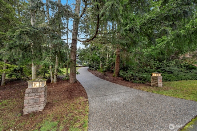 13423 54th St SE, Snohomish, WA 98290 - photo 40
