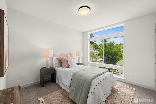 8511B 13th Ave NW, Seattle, WA 98117 - bedroom featuring light carpet and baseboards