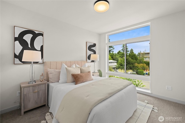 8511B 13th Ave NW, Seattle, WA 98117 - view of carpeted bedroom