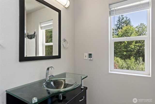 14335 Simonds Rd NE Unit A305, Kirkland, WA 98034 - bathroom featuring vanity and plenty of natural light