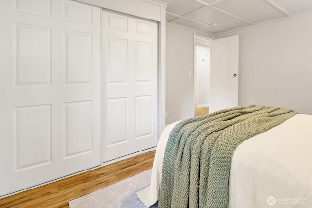 8410 Cimarron Way, Maple Falls, WA 98266 - bedroom with wood finished floors and a closet