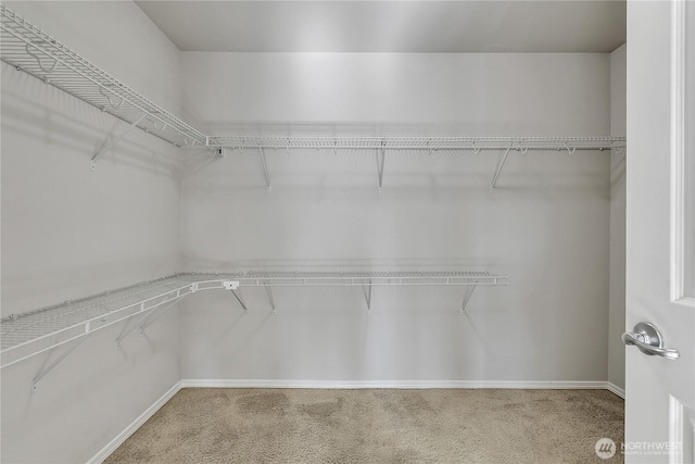 7003 Radius Loop SE, Lacey, WA 98513 - spacious closet featuring carpet flooring