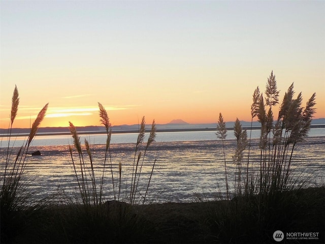 736 Peninsula Ct, Ocean Shores, WA 98569 - photo 4