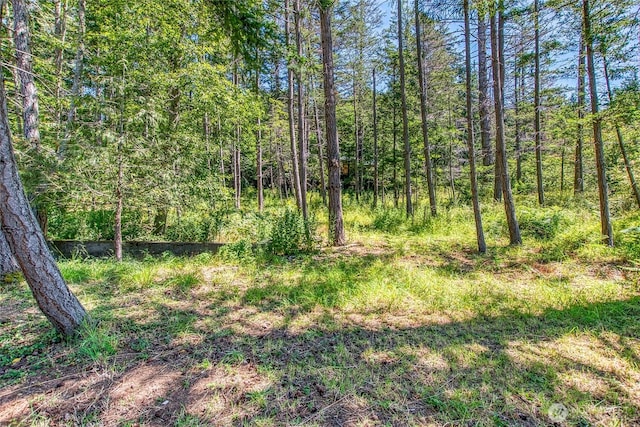 93 Ship Bay Ln, Orcas Island, WA 98245 - view of wooded area