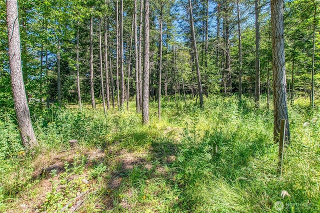 93 Ship Bay Ln, Orcas Island, WA 98245 - view of wooded area