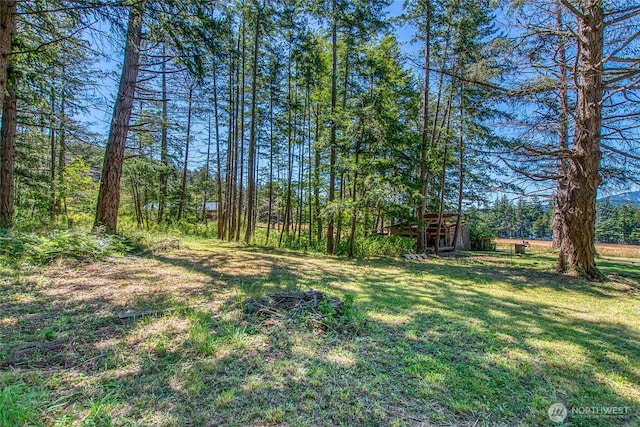 93 Ship Bay Ln, Orcas Island, WA 98245 - view of green lawn