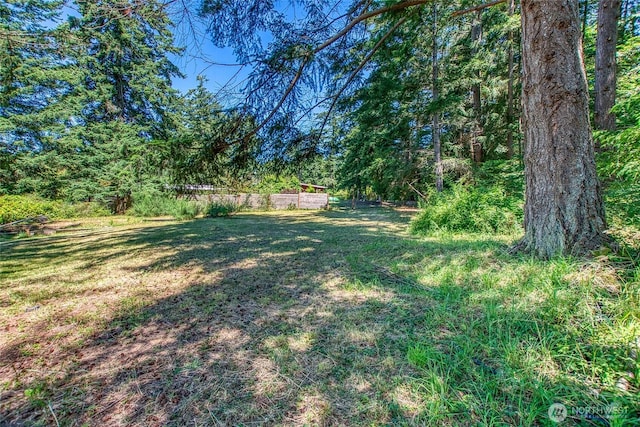 93 Ship Bay Ln, Orcas Island, WA 98245 - view of yard featuring a view of trees