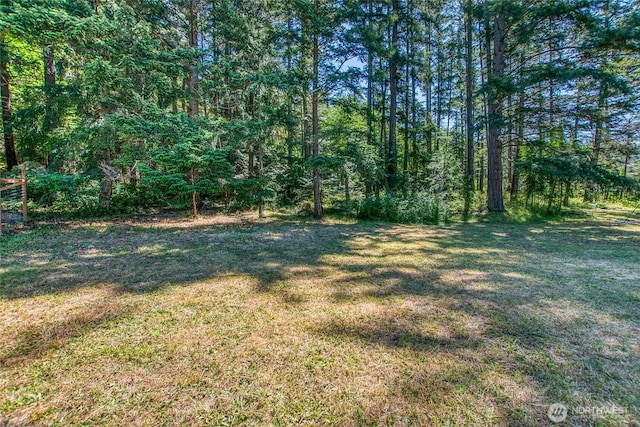 93 Ship Bay Ln, Orcas Island, WA 98245 - view of grassy yard featuring a forest view