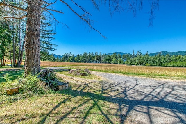 93 Ship Bay Ln, Orcas Island, WA 98245 - view of yard with a mountain view