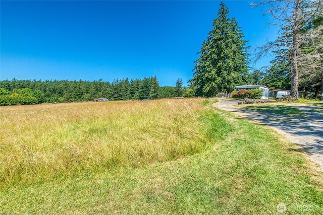 93 Ship Bay Ln, Orcas Island, WA 98245 - view of wooded area