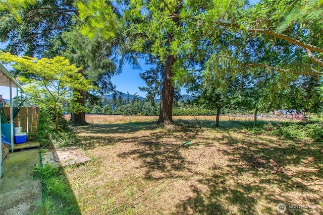 93 Ship Bay Ln, Orcas Island, WA 98245 - view of grassy yard