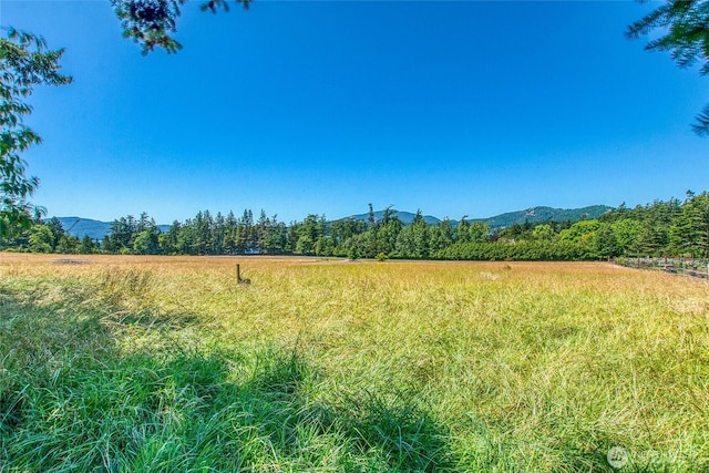 93 Ship Bay Ln, Orcas Island, WA 98245 - view of yard with a mountain view and a view of countryside