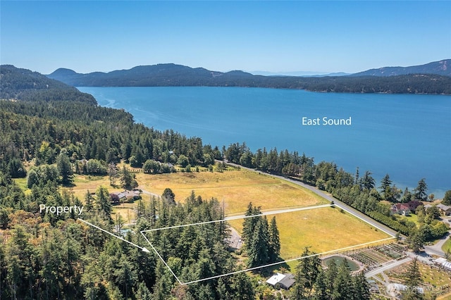 93 Ship Bay Ln, Orcas Island, WA 98245 - view of property location featuring property parcel outlined and a water and mountain view