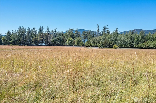 93 Ship Bay Ln, Orcas Island, WA 98245 - mountain view featuring rural landscape
