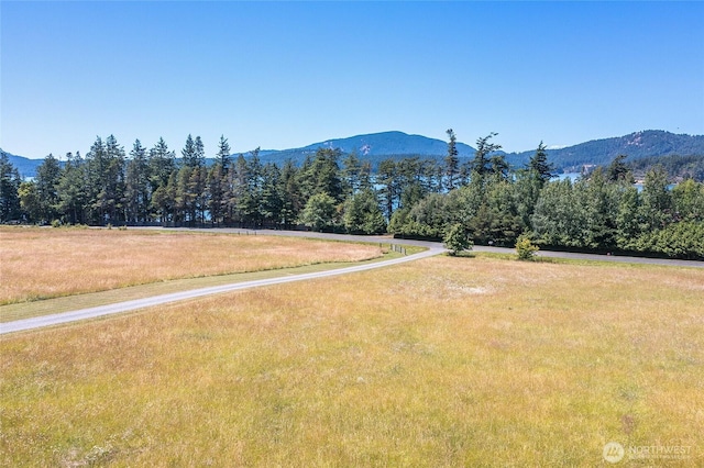 93 Ship Bay Ln, Orcas Island, WA 98245 - mountain view