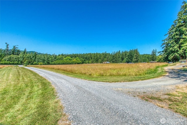 93 Ship Bay Ln, Orcas Island, WA 98245 - view of dirt / gravel road with a forest view
