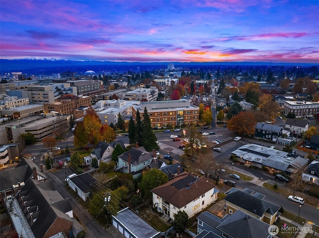 315 N L St, Tacoma, WA 98403 - photo 33