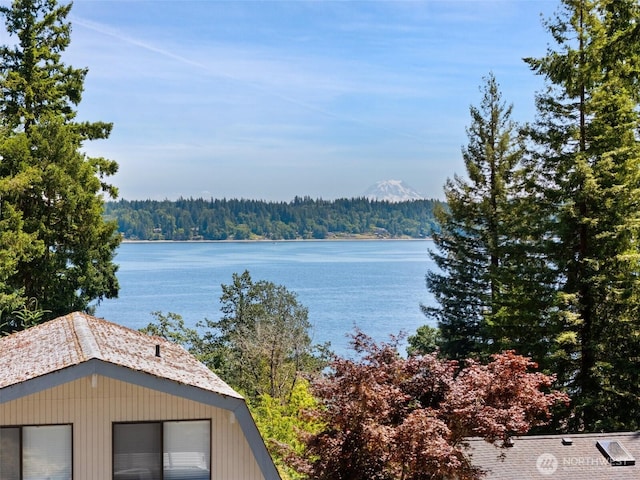 1661 E Treasure Island Dr, Allyn, WA 98524 - photo 12