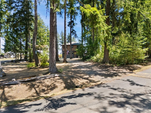 1661 E Treasure Island Dr, Allyn, WA 98524 - photo 30