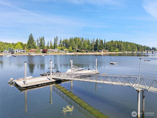 1661 E Treasure Island Dr, Allyn, WA 98524 - photo 33