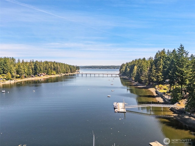 1661 E Treasure Island Dr, Allyn, WA 98524 - photo 34