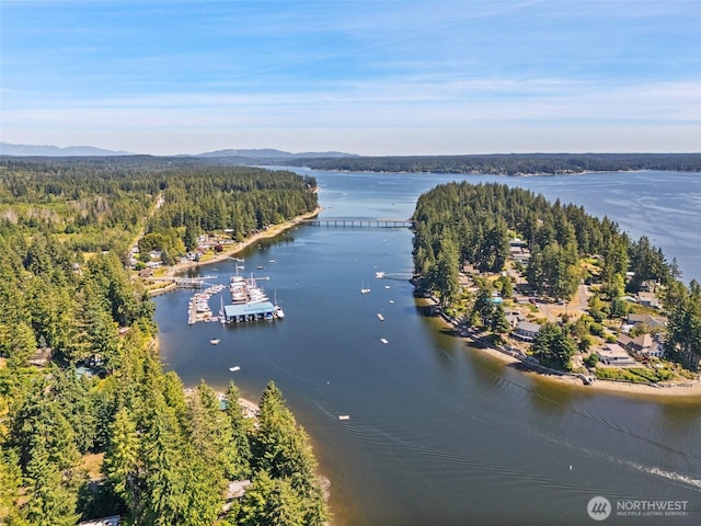 1661 E Treasure Island Dr, Allyn, WA 98524 - photo 35