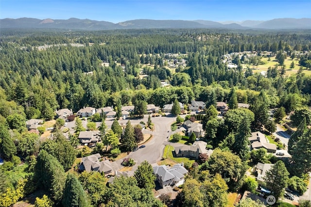 21625 SE 253rd Pl, Maple Valley, WA 98038 - photo 34