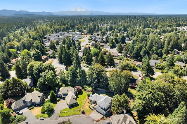 21625 SE 253rd Pl, Maple Valley, WA 98038 - photo 35