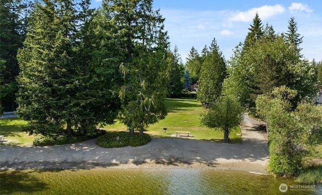 21625 SE 253rd Pl, Maple Valley, WA 98038 - photo 37