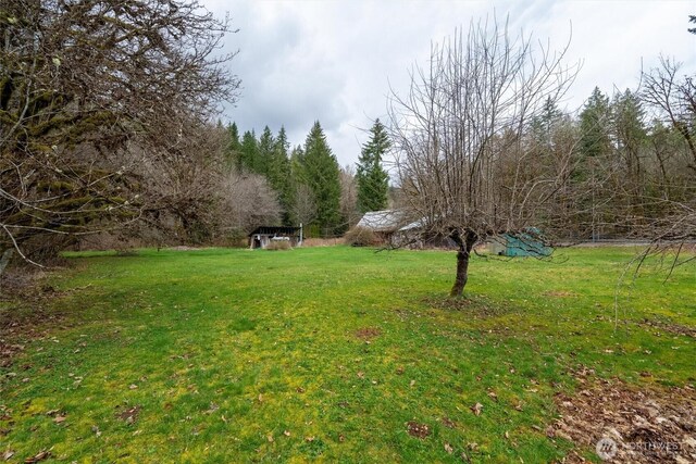 7929 Silver Lake Rd, Maple Falls, WA 98266 - photo 10