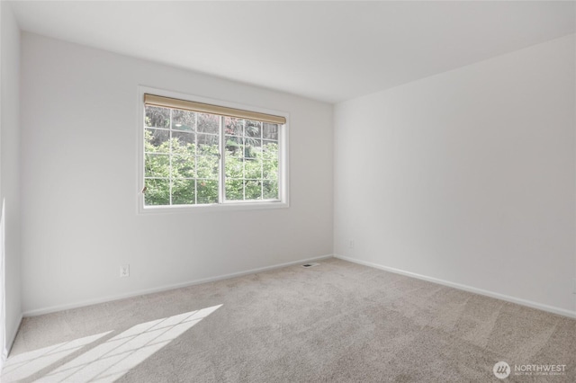 13810 SE 51st Pl, Bellevue, WA 98006 - photo 35