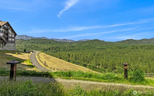 3600 Suncadia Trl Unit 1137, Cle Elum, WA 98922 - view of mountain background featuring a heavily wooded area