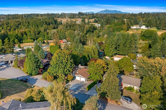 8107 144th Dr SE, Snohomish, WA 98290 - photo 30
