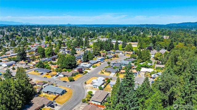 17114 SE 130th Ave, Renton, WA 98058 - aerial overview of property's location with nearby suburban area and mountains