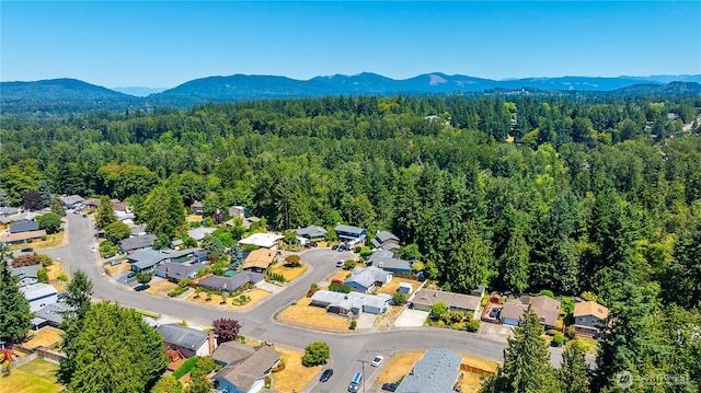 17114 SE 130th Ave, Renton, WA 98058 - aerial perspective of suburban area with a mountainous background and a heavily wooded area