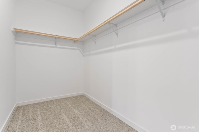 251 Sweet Gum Dr, Blaine, WA 98230 - spacious closet featuring carpet