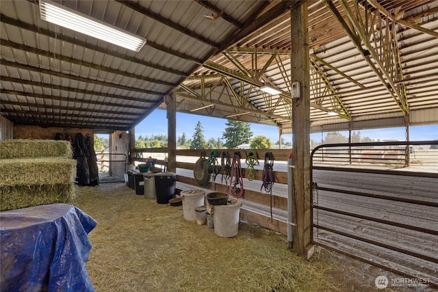 3746 163rd Ave SW, Tenino, WA 98589 - photo 30