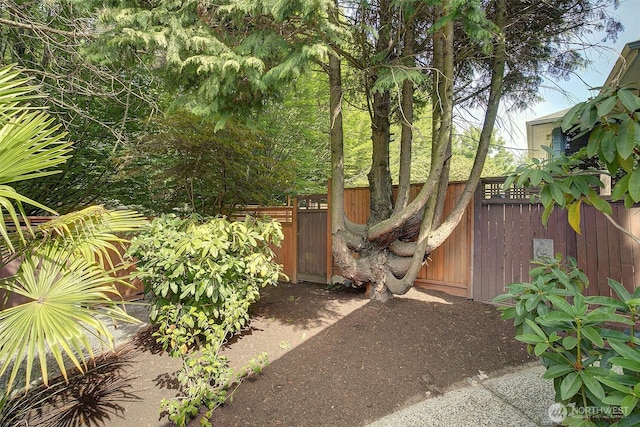 8222 35th Ave SW, Seattle, WA 98126 - photo 3