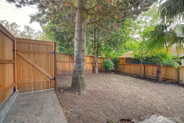 8222 35th Ave SW, Seattle, WA 98126 - photo 31