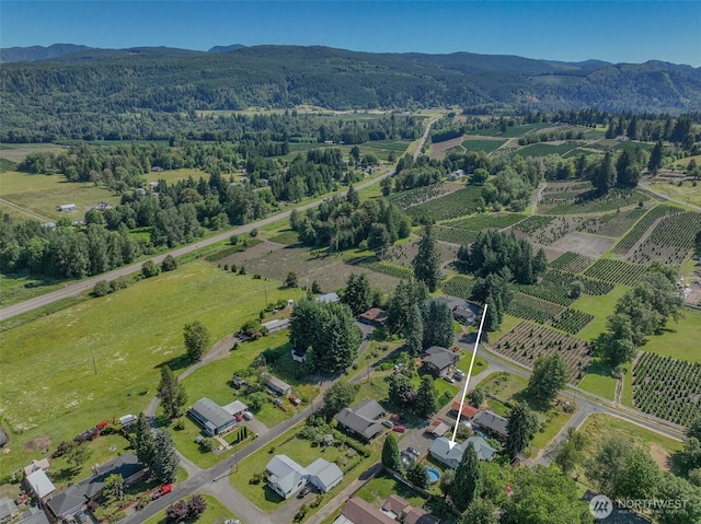 212 Hope St, Mossyrock, WA 98564 - photo 27