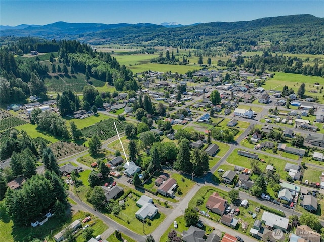 212 Hope St, Mossyrock, WA 98564 - photo 29