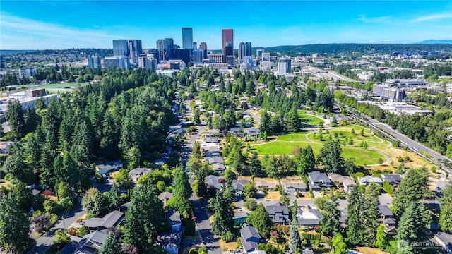 804 109th Ave SE, Bellevue, WA 98004 - view of property location with skyline