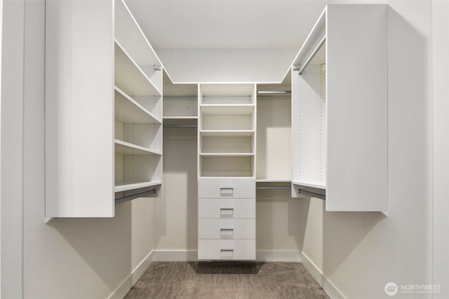 5404 26th Ave SW, Seattle, WA 98106 - spacious closet with carpet