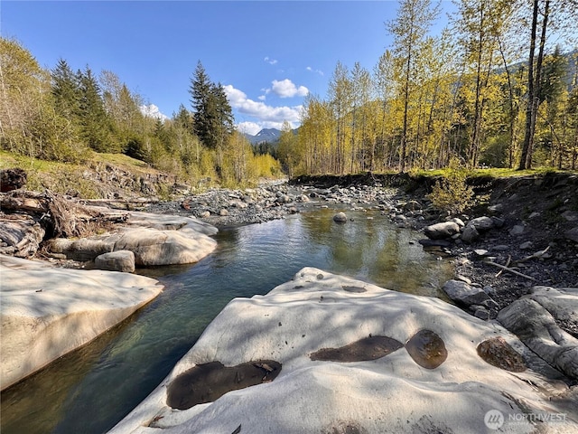 7473 Glacier Springs Dr, Deming, WA 98244 - photo 30