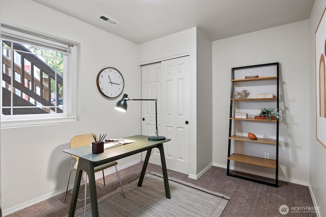 420 NE Maple Leaf Pl Unit A, Seattle, WA 98115 - photo 17