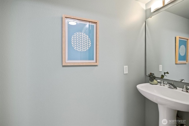 420 NE Maple Leaf Pl Unit A, Seattle, WA 98115 - photo 22