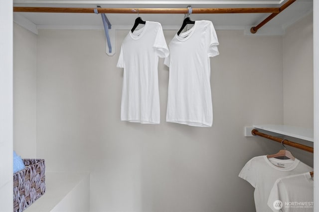 420 NE Maple Leaf Pl Unit A, Seattle, WA 98115 - photo 23